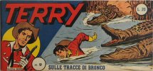 TERRY  n.2 - Sulle tracce di Bronco