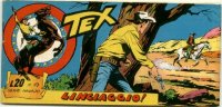 TEX serie a striscia  n.19 - Linciaggio!