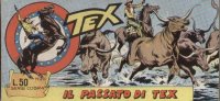 TEX serie a striscia  n.24 - Il passato di Tex