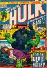 Hulk e i Difensori  n.36 - Per la vita di un mutante