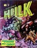 L'incredibile Hulk  n.2 - Il colore dell'odio!