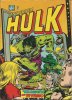 L'incredibile Hulk  n.22 - Sopra la terra infuria un Titano