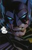 Gli 11 casi insoliti di Batman