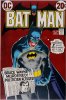 BATMAN (DC Comics)  n.245