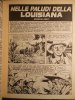 Nelle paludi della Louisiana