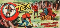 TEX serie a striscia - Terza serie (1/33)  n.5 - Duello nella foresta