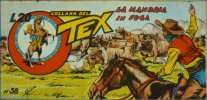 TEX serie a striscia - Quinta serie (1/46)  n.38 - La mandria in fuga