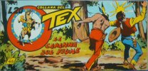 TEX serie a striscia - Quinta serie (1/46)  n.45 - La capanna sul fiume