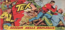 TEX serie a striscia - 10 - Serie Smeraldo (1/27)  n.12 - Assedio nella boscaglia
