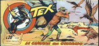TEX serie a striscia  n.8 - La capanna sul Colorado