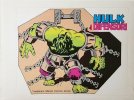 Hulk e i Difensori  n.26 - L'erede