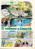 Valentina Mela Verde - Ci vediamo a Limerick