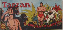 Tarzan Striscia  n.18 - Il gorilla maledetto