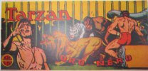 Tarzan Striscia  n.20 - Oro nero