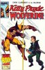 PLAY BOOK  n.2 - Kitty Pryde e Wolverine