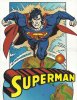 SUPERMAN (Play Press)  n.100