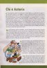 CLASSICI DEL FUMETTO DI REPUBBLICA  n.19 - Asterix