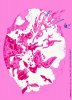 ALTERLINUS  n.6 - 1974