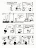 Li'l Abner (seconda parte)