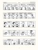 Peanuts