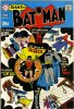 BATMAN (DC Comics)  n.213