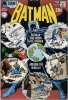 BATMAN (DC Comics)  n.223