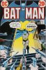 BATMAN (DC Comics)  n.249