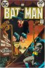 BATMAN (DC Comics)  n.253